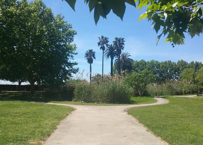 Domaine Flore Voilier Juan-les-Pins